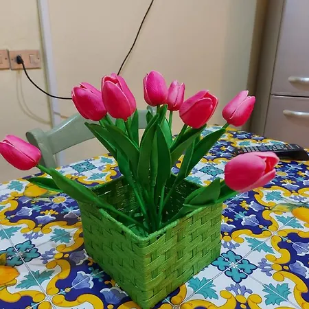 Apartment Al 25 Tulipani *